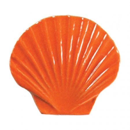 Seashell Orange