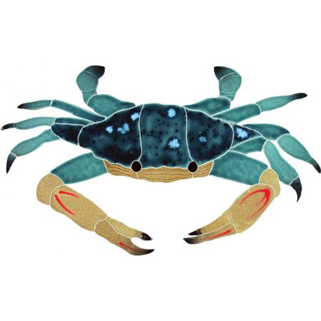 Blue Swimmer Crab