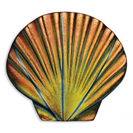 Rainbow Seashell