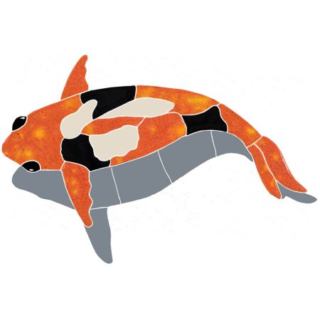 Koi Fish Orange with Shadow