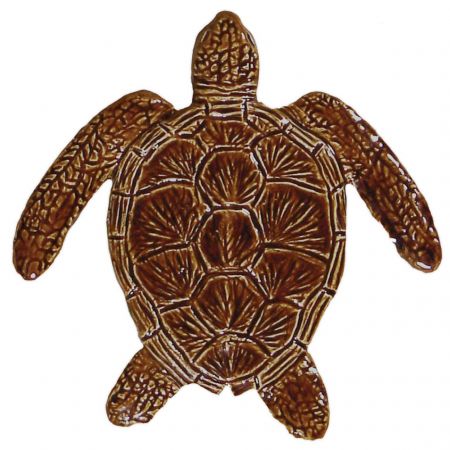 Loggerhead Turtle Brown