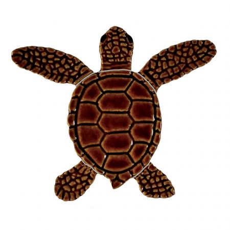 Loggerhead Turtle B Mini Brown