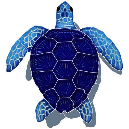 Loggerhead Turtle with Shadow Blue