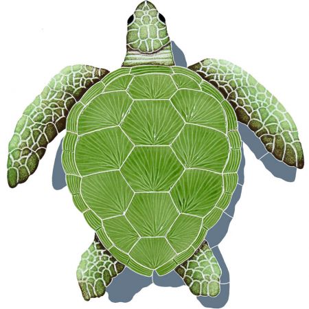 Loggerhead Turtle with Shadow Green