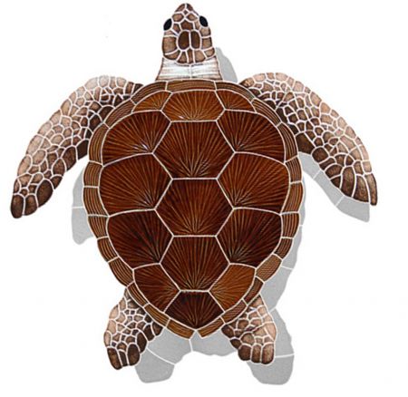 Loggerhead Turtle with Shadow brown
