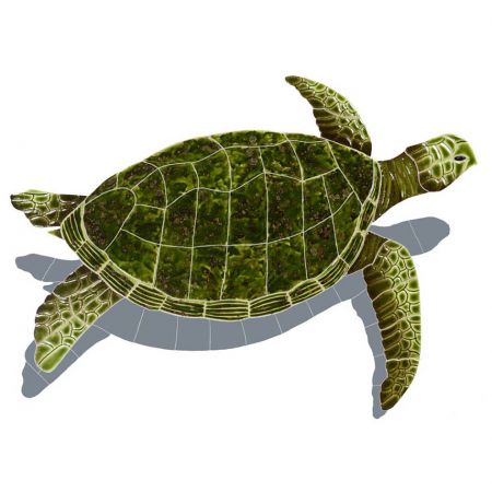 Sea Turtle with Shadow Green