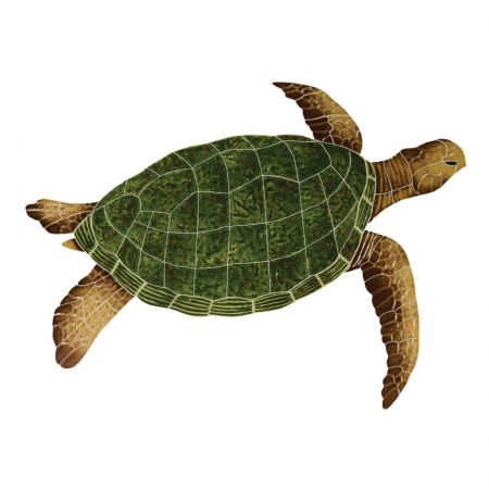Sea Turtle Natural