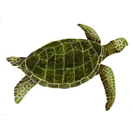 Sea Turtle Green