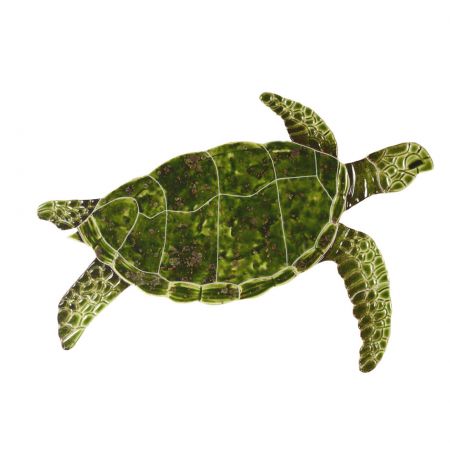 Sea Turtle Green