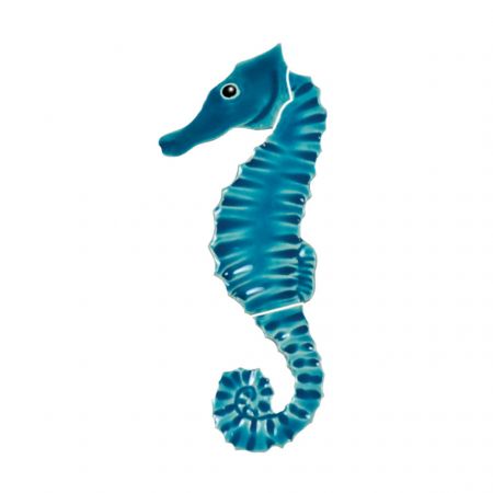 Seahorse Aqua