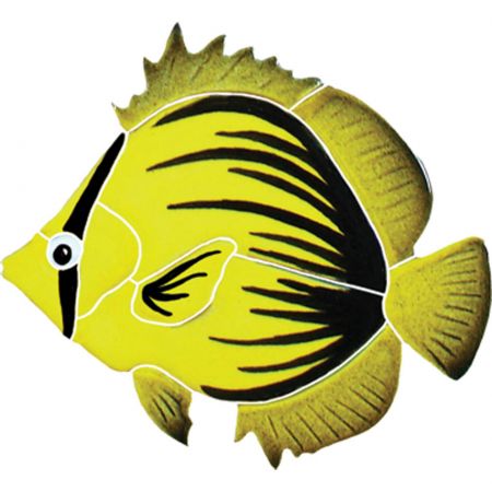 Spiked Butterfly Fish