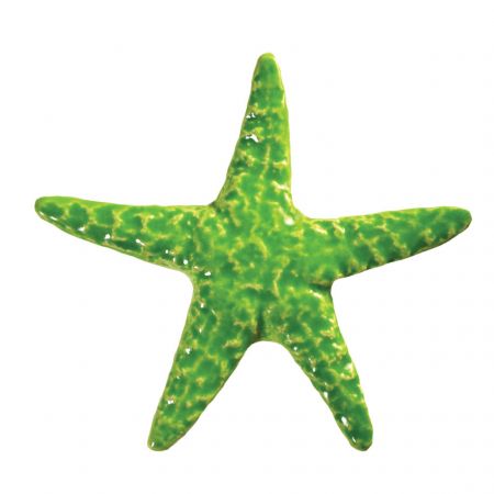 Starfish Lime