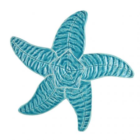 Starfish Aqua