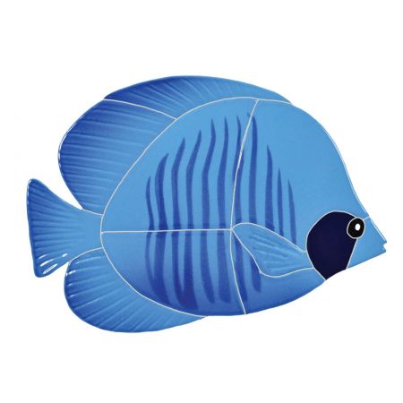 Tiger Tang Fish Blue