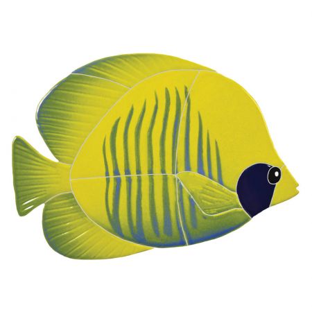 Tiger Tang Fish Yellow
