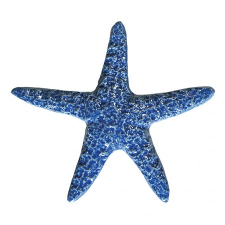 Starfish Light Blue